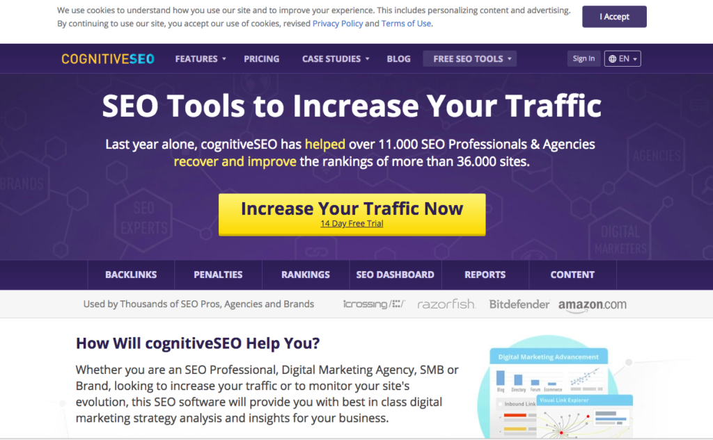 Negative SEO - How to Avoid It with White Hat SEO - Cognitive SEO
