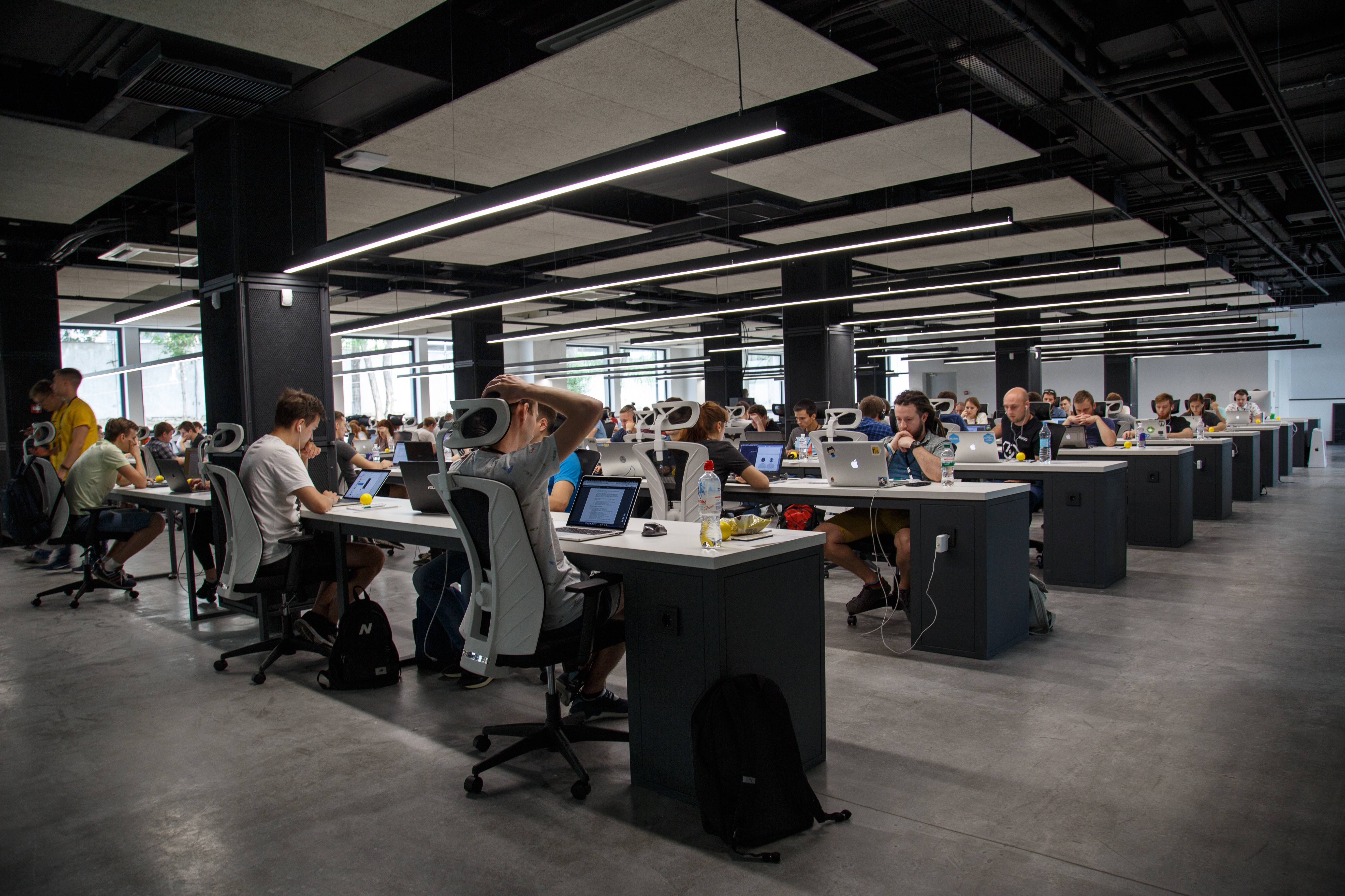 Employees are working with laptops